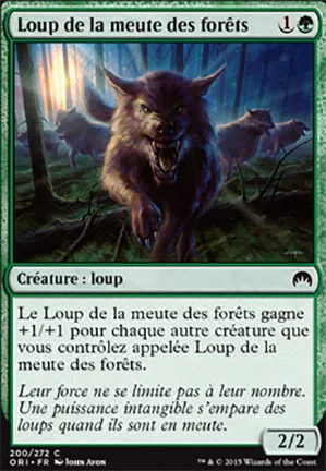Loup de la meute des forêts