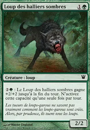 Loup des halliers sombres