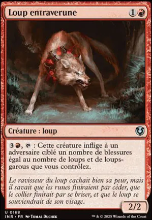 Loup entraverune