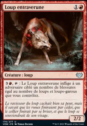 Loup entraverune