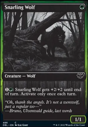 Loup menaçant