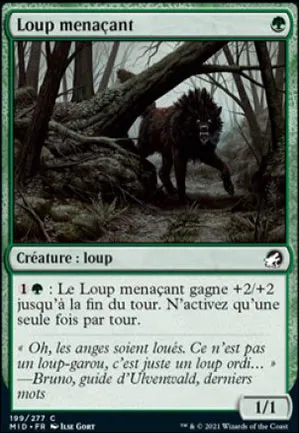Loup menaçant