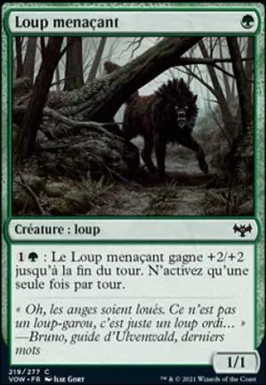 Loup menaçant