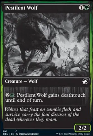 Loup pestiféré