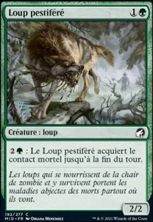 Loup pestiféré