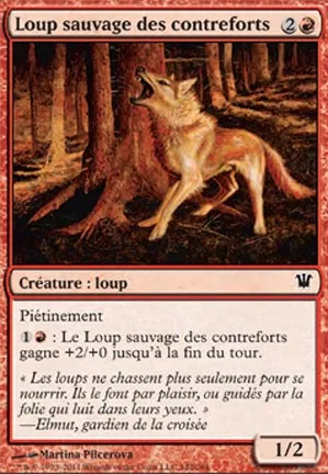 Loup sauvage des contreforts