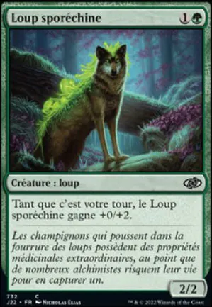Loup sporéchine