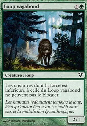 Loup vagabond