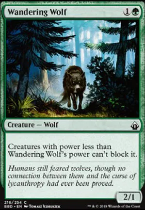 Loup vagabond