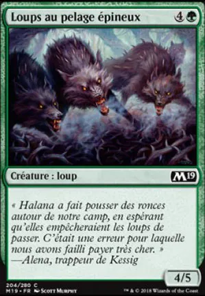 Loups au pelage épineux