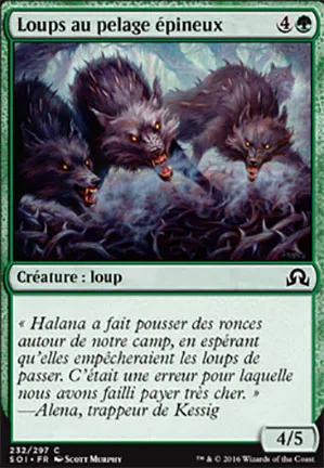 Loups au pelage épineux