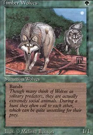 Loups des forêts