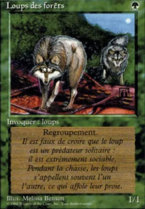 Loups des forêts