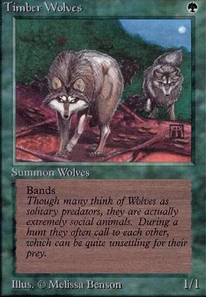 Loups des forêts