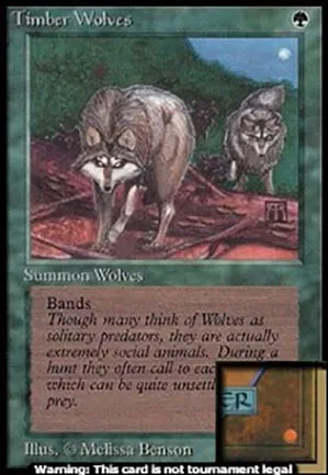 Loups des forêts