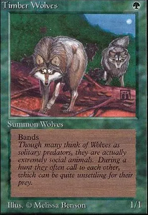 Loups des forêts