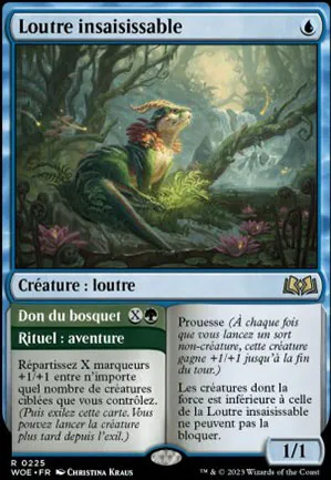 Loutre insaisissable // Don du bosquet