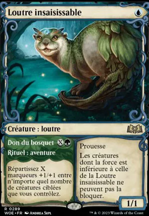 Loutre insaisissable // Don du bosquet