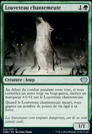 Louveteau chantemeute