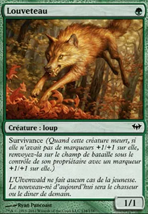 Louveteau