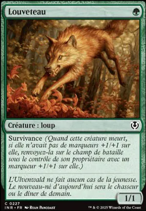 Louveteau