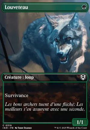 Louveteau
