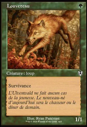 Louveteau