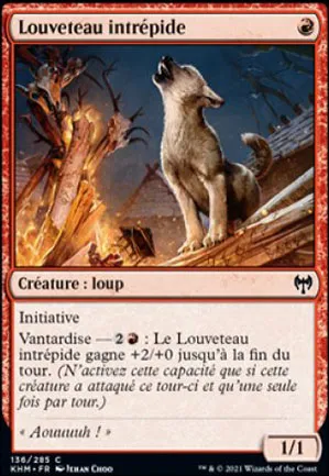 Louveteau intrépide