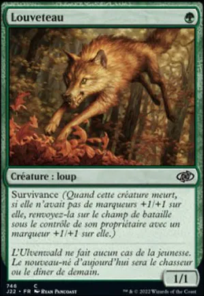 Louveteau