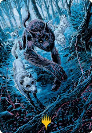Louveteau sauvage - Illustration