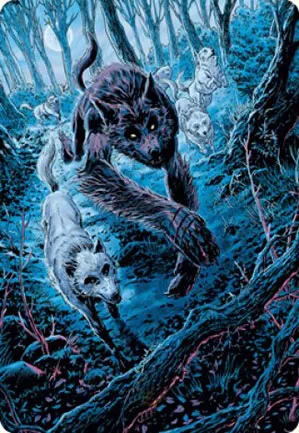 Louveteau sauvage - Illustration