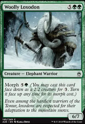 Loxodon laineux