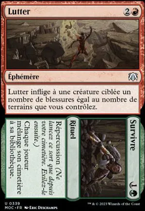 Lutter // Survivre