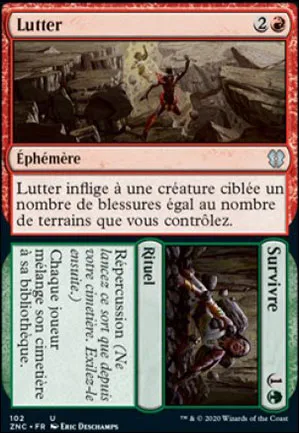 Lutter // Survivre