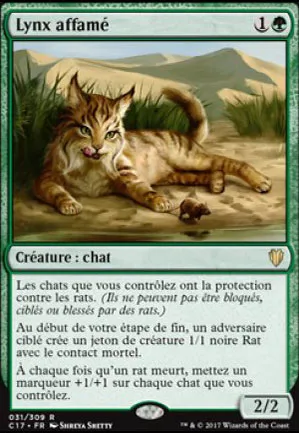 Lynx affamé
