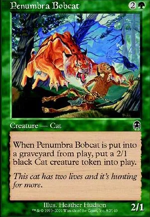 Lynx de la pénombre