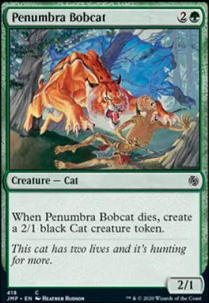 Lynx de la pénombre