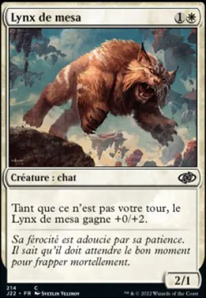 Lynx de Mesa