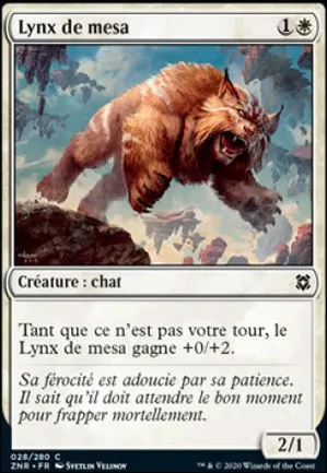 Lynx de Mesa