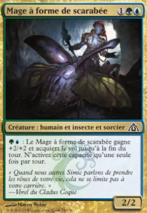 Mage à forme de scarabée
