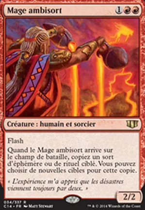Mage ambisort