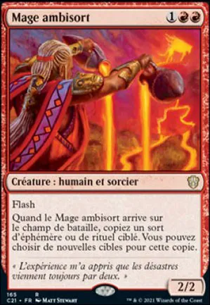 Mage ambisort