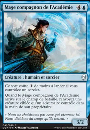 Mage compagnon de l'Académie