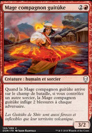 Mage compagnon guitûke