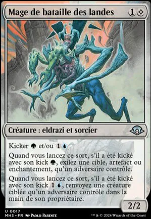 Mage de bataille des landes