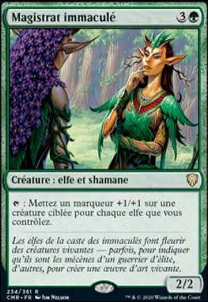 Magistrat immaculé