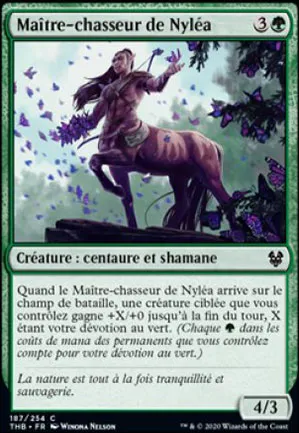 Maître-chasseur de Nyléa