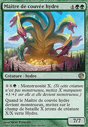 Maître de couvée hydre