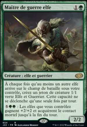 Maître de guerre elfe