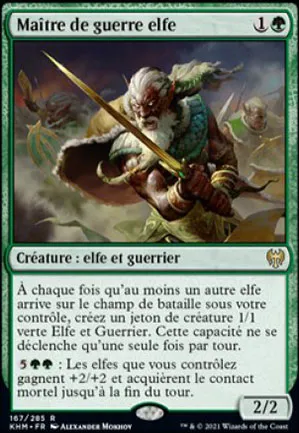 Maître de guerre elfe